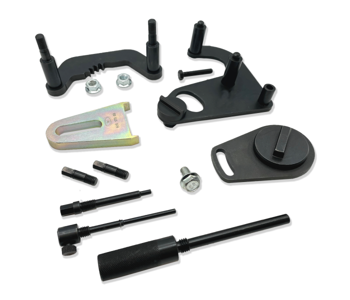 Renault 2.0 D Blue dCi  od 2020 - i nadal Blokada rozrządu i narzędzia do pompy wtryskowej Diesel 905 290 00